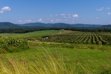 Rural landscape showing rolling hills with mountains in the background